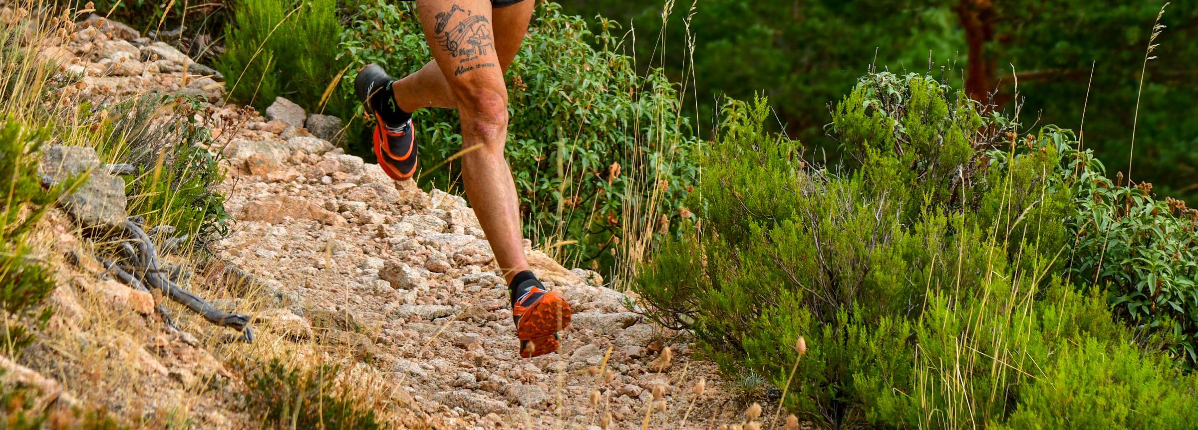 Moraltrail Race